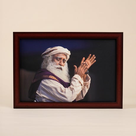 Sadhguru Photo (8x12)