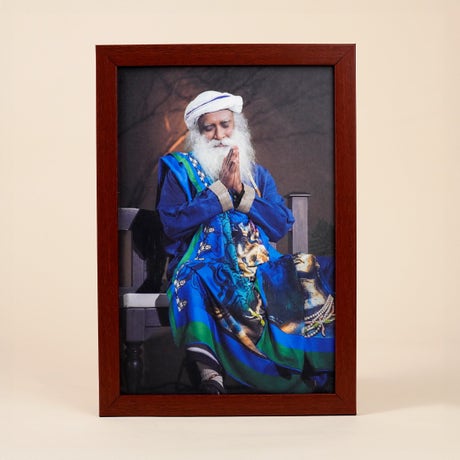 Sadhguru Photo (8x12)