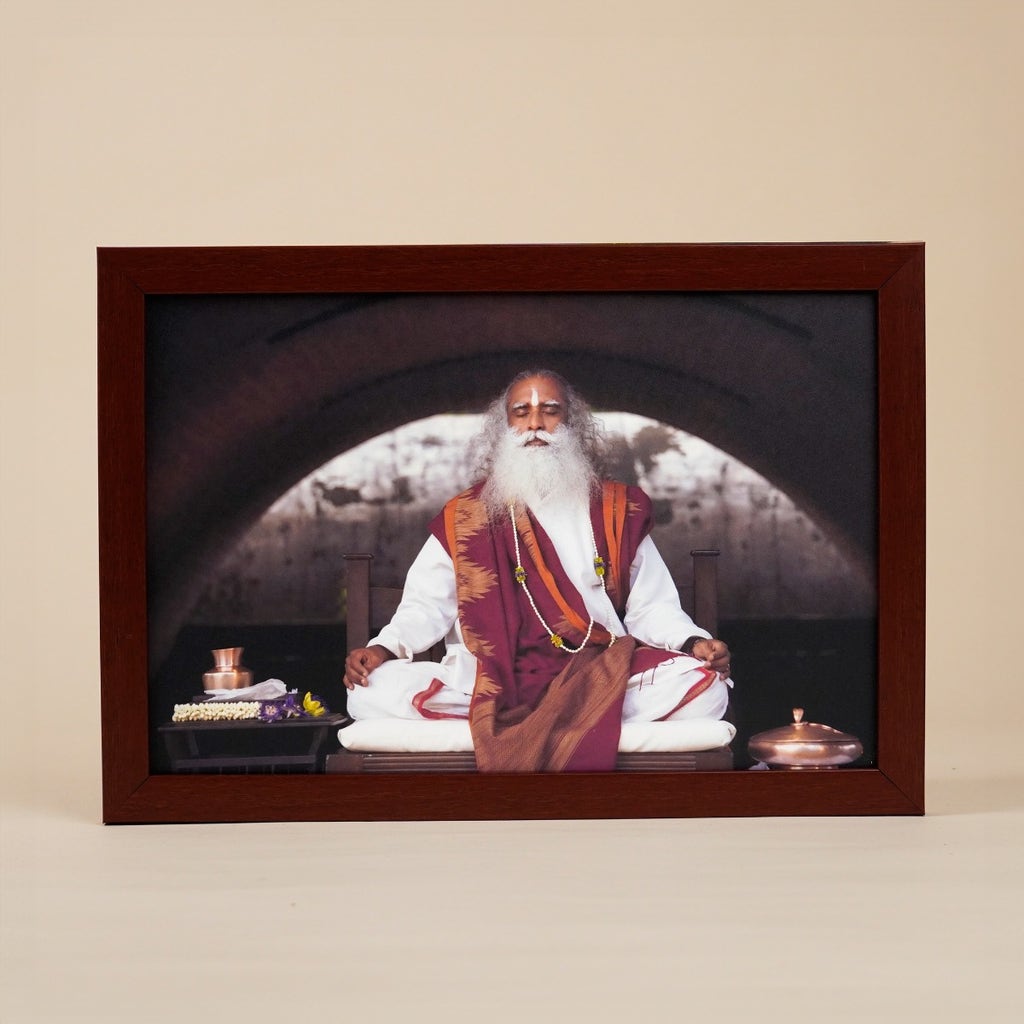 Sadhguru Photo (8x12)