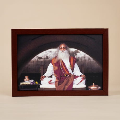 Sadhguru Photo (8x12)