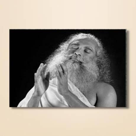 Sadhguru Inclusive