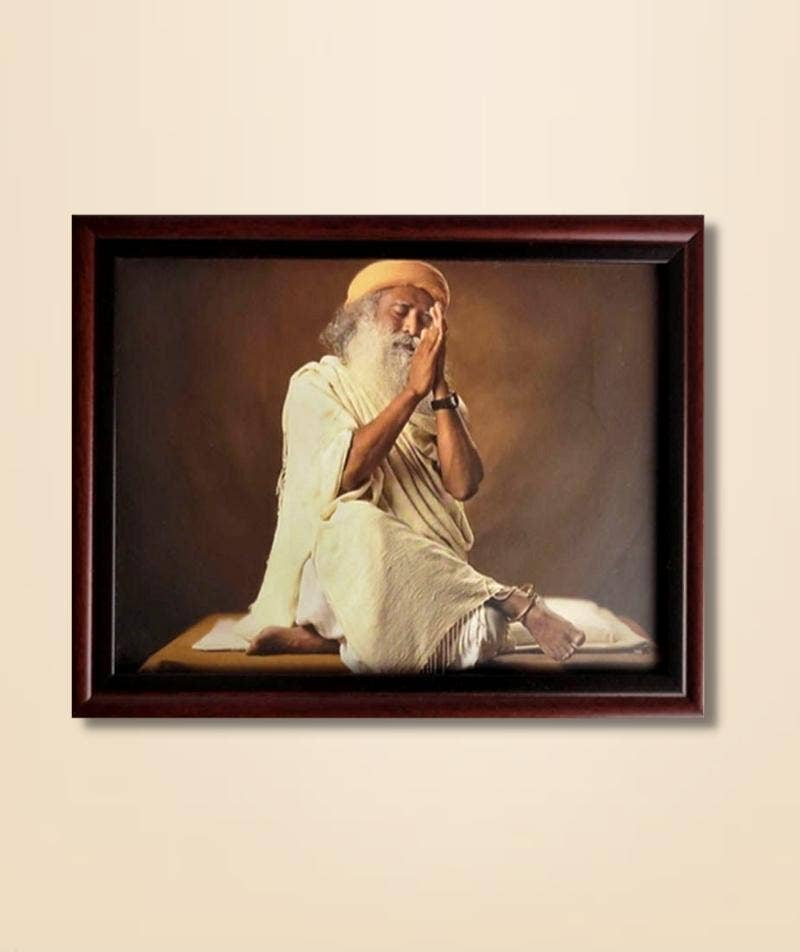 Sadhguru Photo Meditative