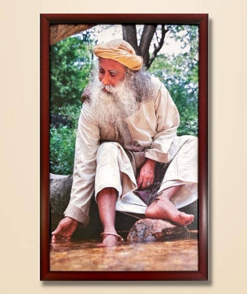 Sadhguru Photo, Inner Nature, 12x18