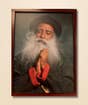 Sadhguru Photo, Domination, 12x16