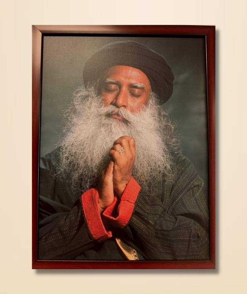Sadhguru Photo, Domination, 12x16