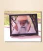  Sadhguru Expansion Photo