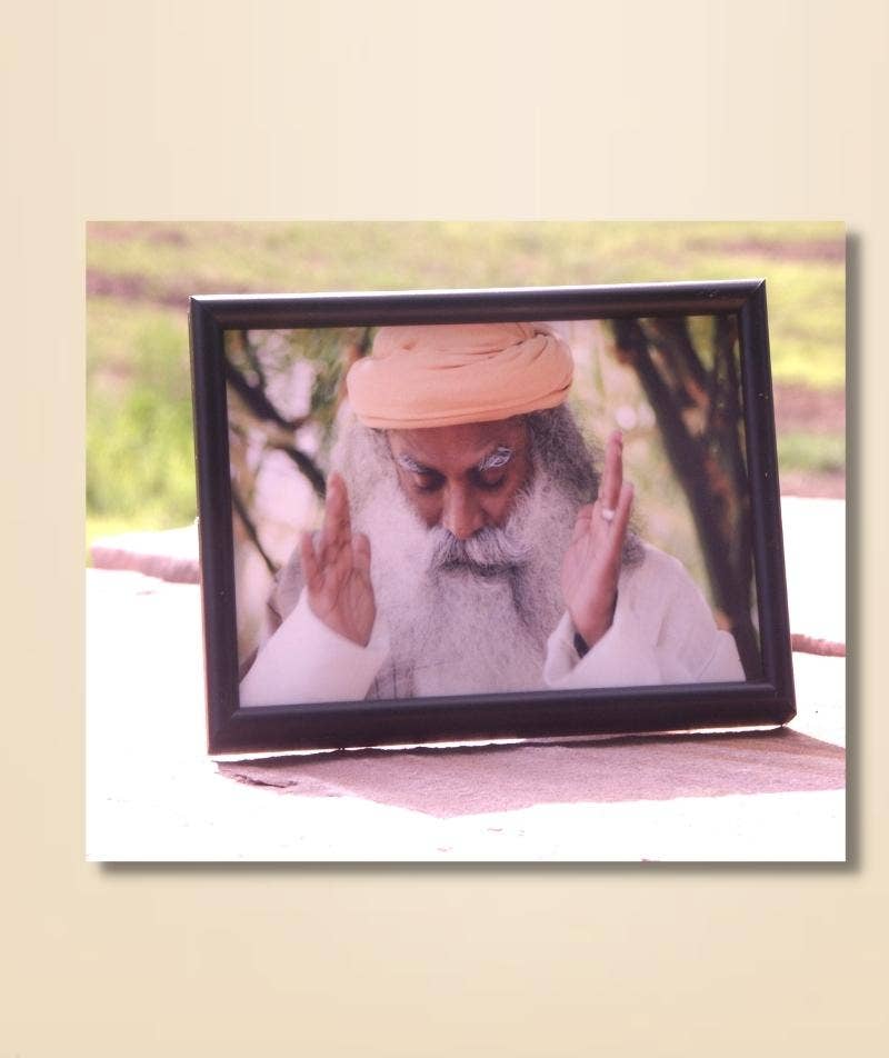  Sadhguru Expansion Photo