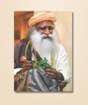 Sadhguru Holding Rose