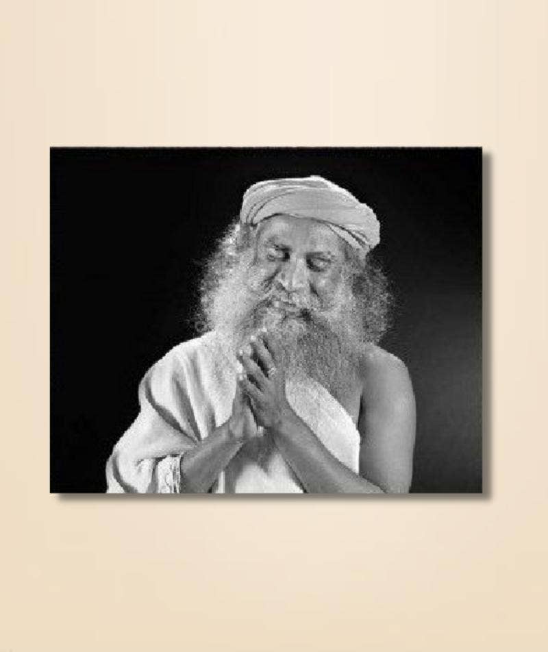 Sadhguru Looking Inward