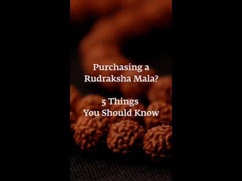 Purchasing a Rudraksha Mala? 5 Things You Should Know