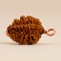 Dwimukhi Rudraksha Bead for Couples (Consecrated)