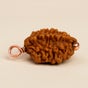Dwimukhi Rudraksha Bead for Couples (Consecrated)