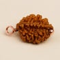 Dwimukhi Rudraksha Bead for Couples (Consecrated)