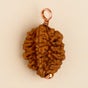 Dwimukhi Rudraksha Bead for Couples (Consecrated)