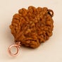 Dwimukhi Rudraksha Bead for Couples (Consecrated)