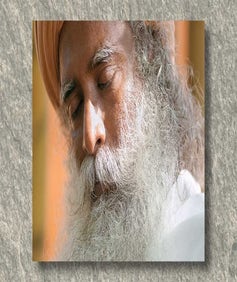 Sadhguru 02 - 30" x 45" (photo download)