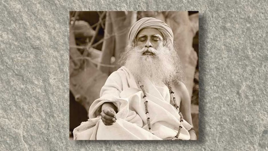 Sadhguru 19 - 48" x 48" (photo download)