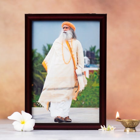 Sadhguru Photo (8x12)