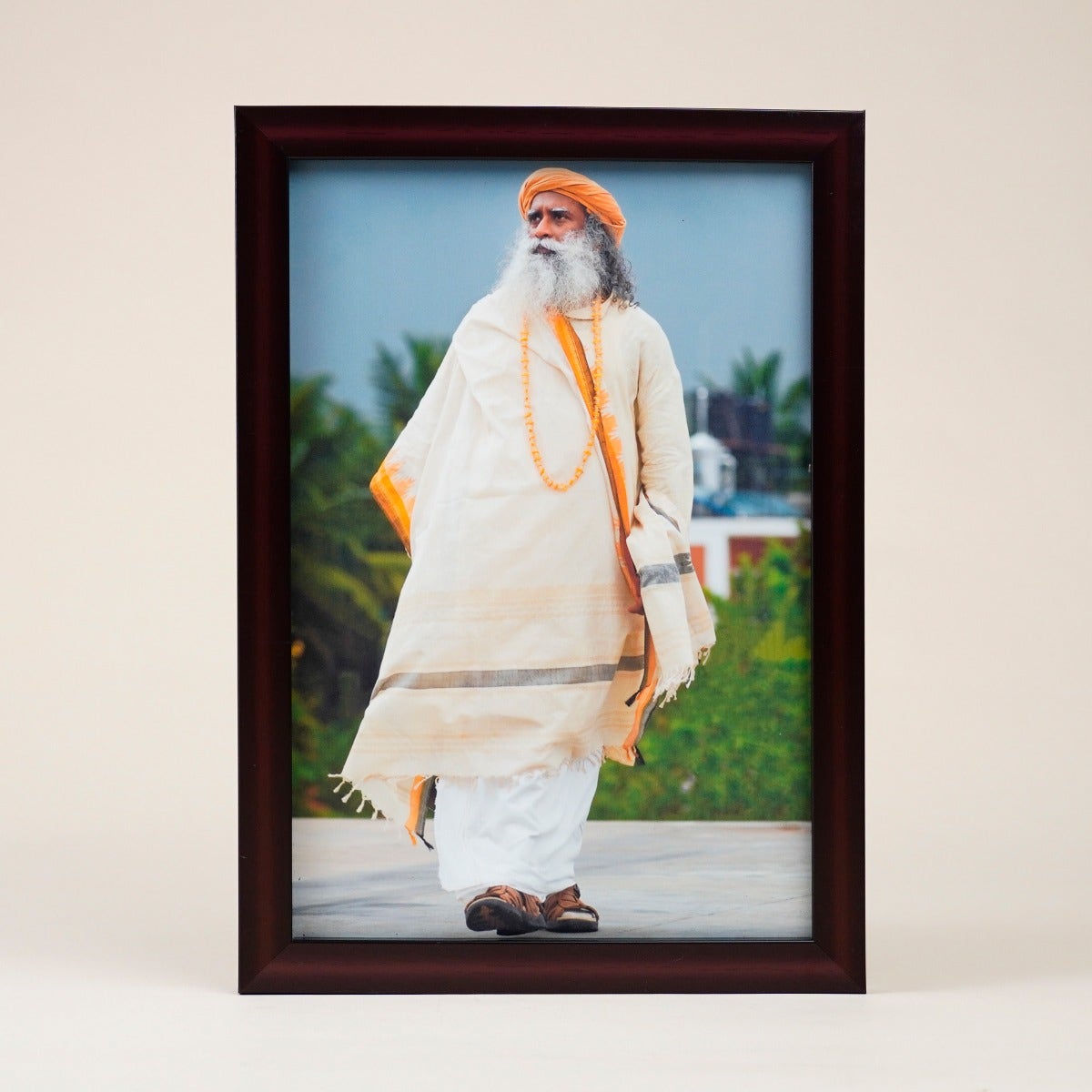 Sadhguru Photo (8x12)