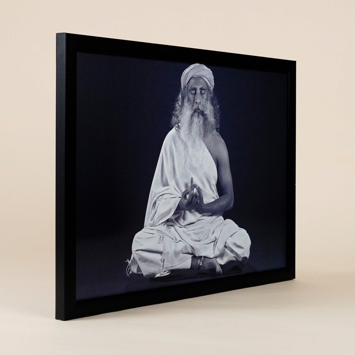 Sadhguru Photo (12x16)