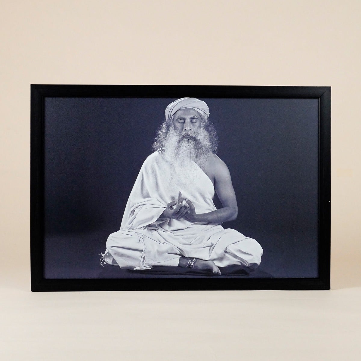 Sadhguru Photo (12x16)