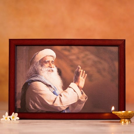 Sadhguru Photo (8x12)