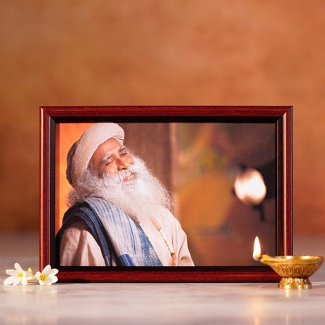 Sadhguru Photo (6x9)