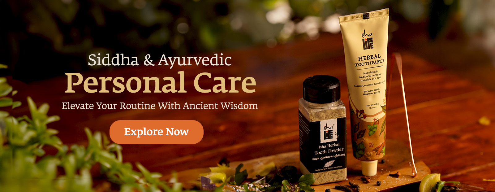 om/homeslider/t/r/traditional_personal_care_webl1_il02ban.jpg