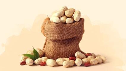 High Nutrition
