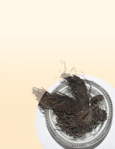 Bark Powder