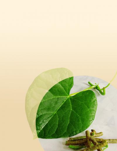 A base to infuse herbs with medicinal properties, Sesame oil is a warming and soothing oil.