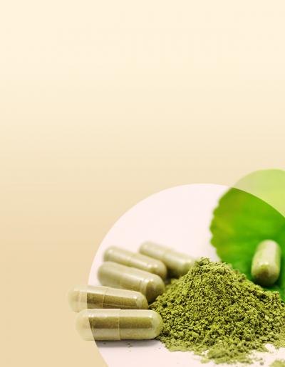 Pure vegetarian capsules