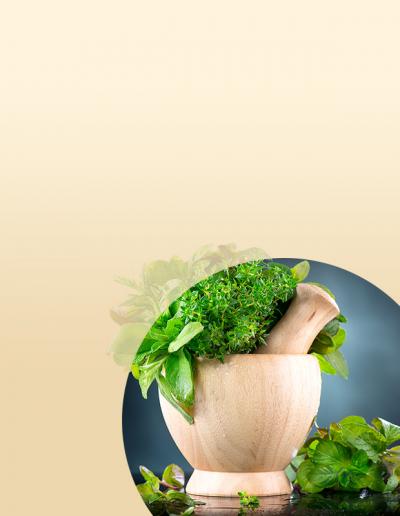 Known for its anti-inflammatory properties, Tinospora Leaf is a part of traditional medicinal systems.