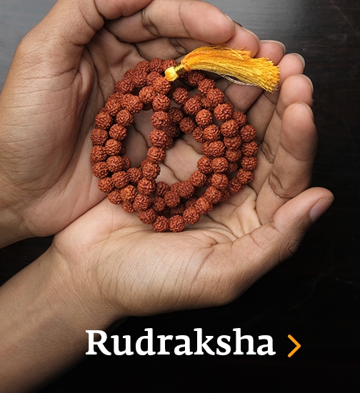 Rudraksha-2025