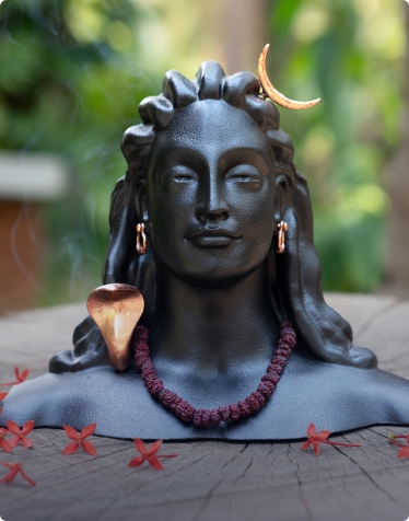 adiyogi-grace-offer