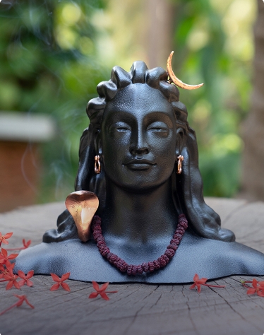 adiyogi-grace-offer